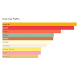 Tropical Kiss Eau De Parfum 80ml Frence Avenue by Fragrance World